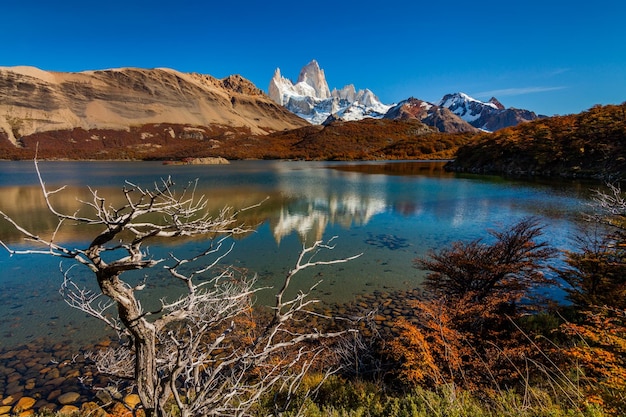 Lake Capri Fitz Roy Berg El Chalten Patagonien Argentinien