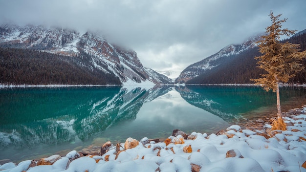 Foto lake louise im winter