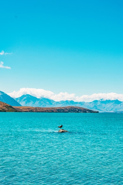 Lake Tekapo Neuseeland