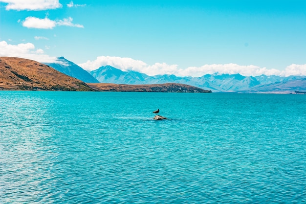 Lake Tekapo Neuseeland