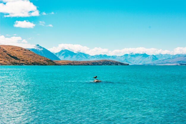 Lake Tekapo Neuseeland