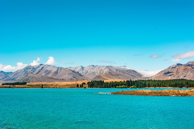 Lake Tekapo Neuseeland