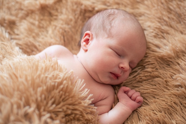 Lakonisches Porträt des niedlichen neugeborenen Babys, das mit seinen Augen geschlossen liegt und auf der weichen flauschigen Decke schläft