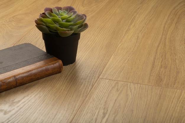 Laminado de madera y tableros de parquet para el piso