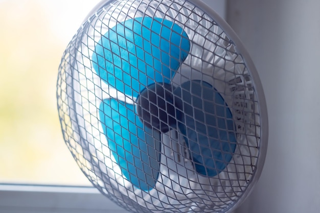 Lâminas de ventilador da Casa Azul em close de janela