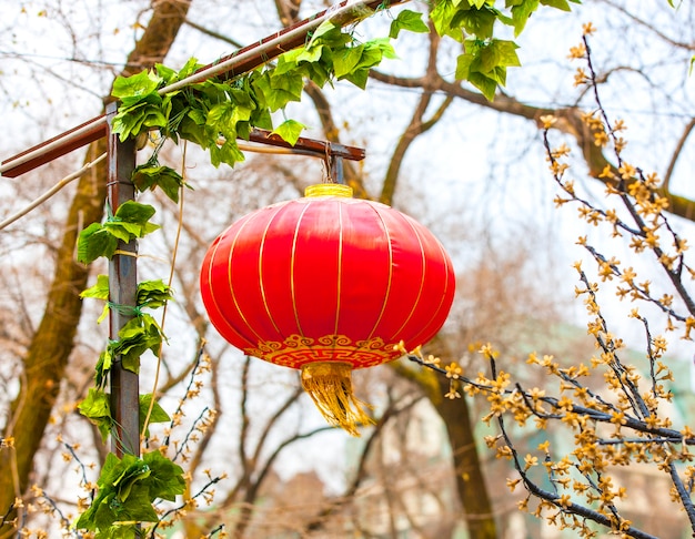 Lâmpada chinesa vermelha na árvore no ano novo.