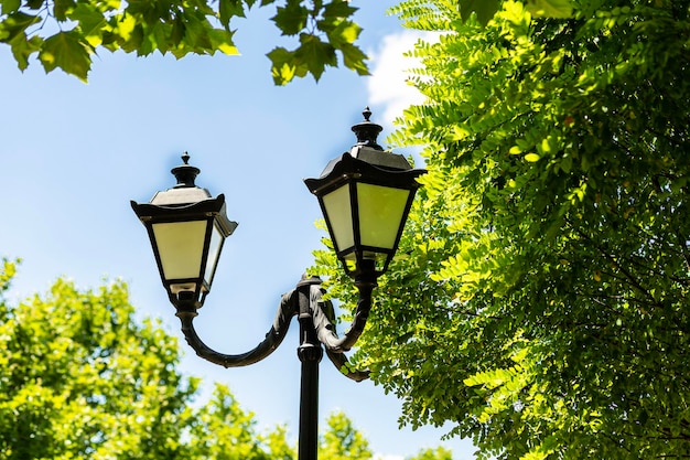 Lâmpada de rua em um fundo desfocado de céu e vegetação