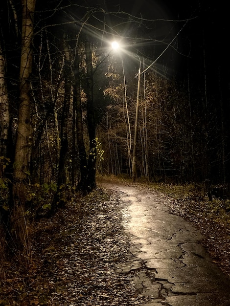 Foto lâmpada de rua ilumina caminho encharcado de chuva no parque de outono