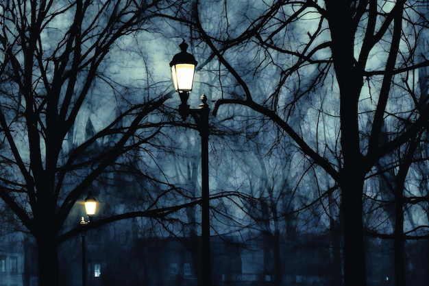 Lâmpada de rua velha em uma noite de inverno nebulosa no parque