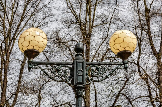 Foto lâmpada de rua vintage elegante