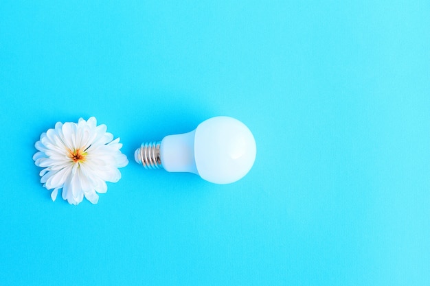 lâmpada e uma flor branca sobre um fundo azul
