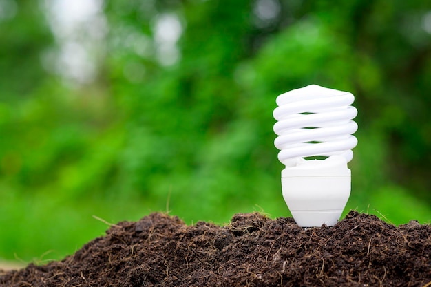 Lâmpada sobre fundo verde Tecnologia ecológica Salvar o conceito de terra