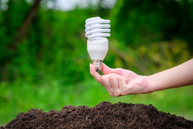 Lâmpada sobre fundo verde Tecnologia ecológica Salvar o conceito de terra