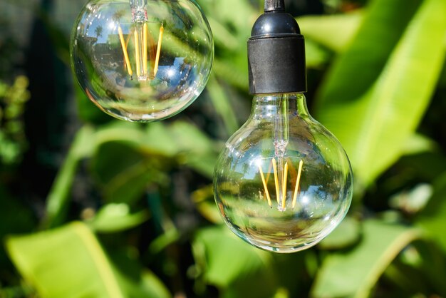 Foto lâmpada vintage com folhas verdes