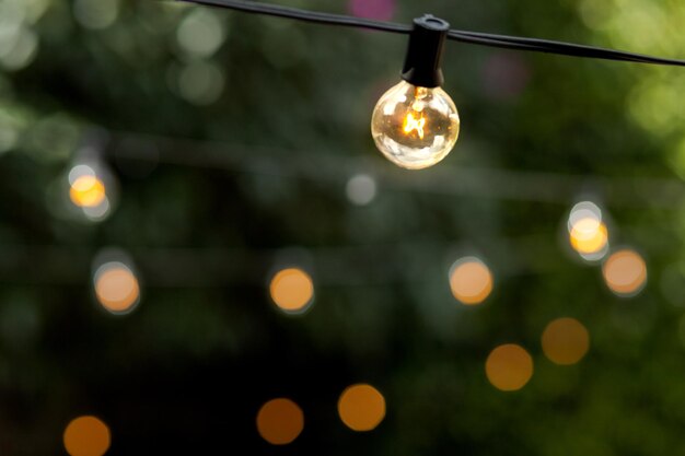 Lâmpada vintage com um fundo verde com espaço de cópia. Lâmpada acesa com luzes desfocadas