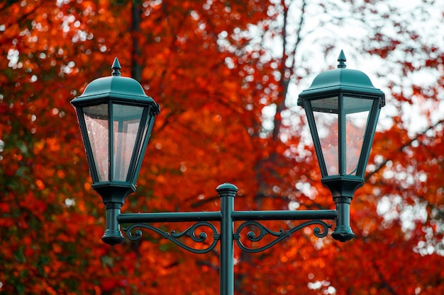 Lámpara de calle hermosa en el parque en otoño. Foto de alta calidad