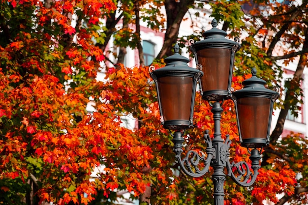 Lámpara de calle hermosa en el parque en otoño. Foto de alta calidad