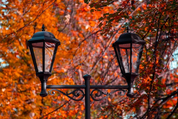 Lámpara de calle hermosa en el parque en otoño. Foto de alta calidad