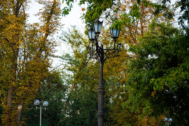 Lámpara de calle vintage en el parque de otoño.