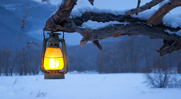 Lámpara encendida en una rama en invierno