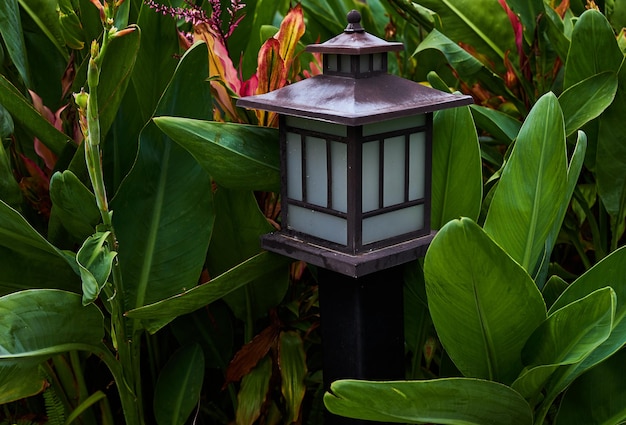 Una lámpara en el jardín con una planta al fondo.