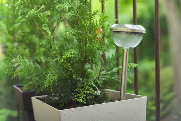 Lámpara en la terraza en gotas de lluvia, lámpara de jardín con energía solar