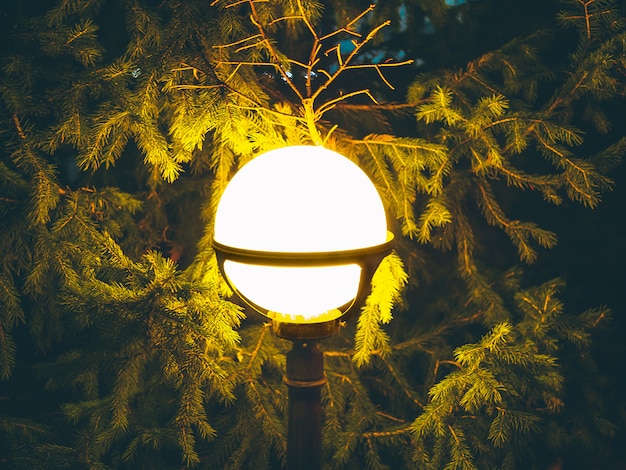 Lámpara vintage de calle con árbol de navidad en la tarde afuera.