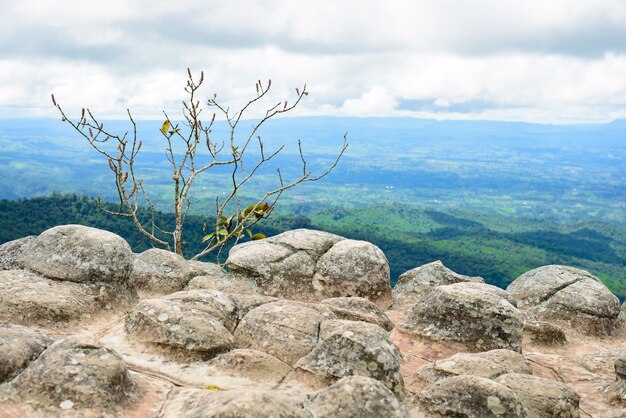 Lan Hin Pum (Naturphänomen) im Nationalpark Phu Hin Rong Kla