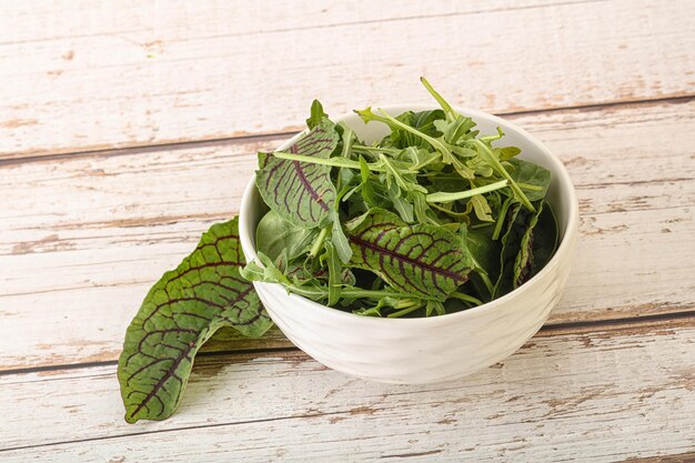 Lanche de salada vegana com mistura verde na tigela