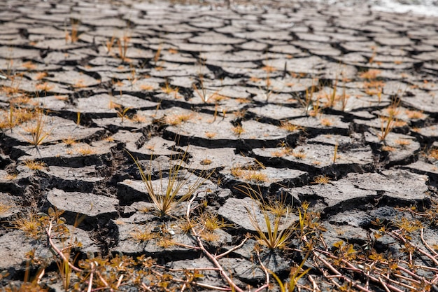 Foto land mit trockenem und rissigem boden. erderwärmung