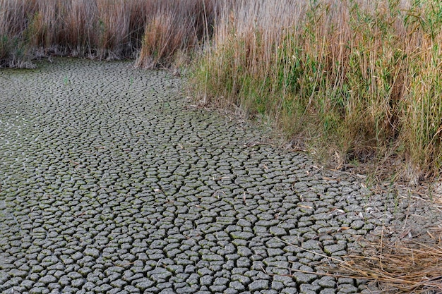 Foto land trocken wegen fehlendem regen