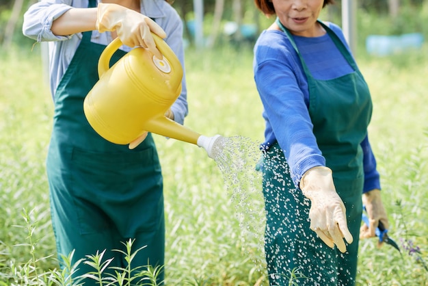 Landarbeiter gießen Blumen