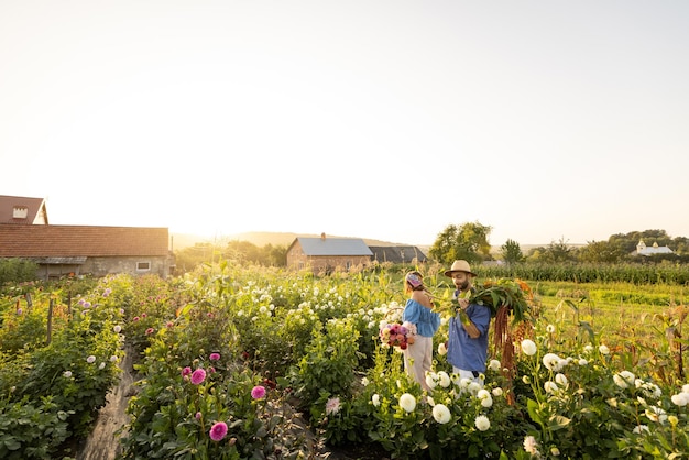 Landarbeiter tragen viele frisch gepflückte Blumen auf dem Bauernhof