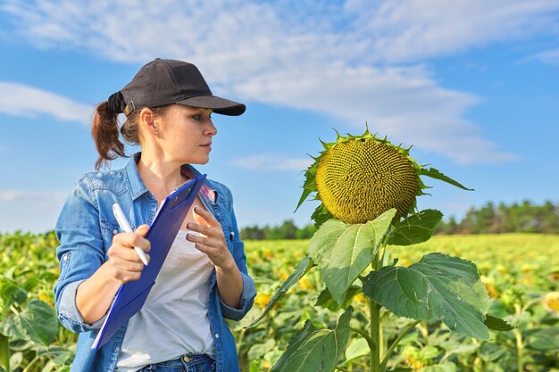 Landarbeiterin mit Arbeitsordner auf grünem Sonnenblumenfeld, Frau, die auf dem Bauernhof arbeitet, analysiert die Ernte, Kopierraum