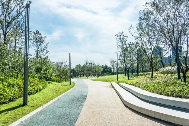 Landebahn im Park