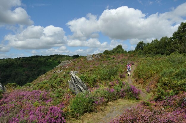 Landes de Liscuis en Bon Repos sur Blavet en Bretaña