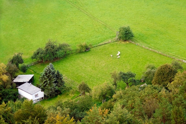 Landhaus auf dem Hintergrund des Waldes und der grünen Felder Blick von oben