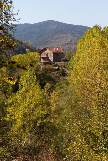 Landhaus aus Holz