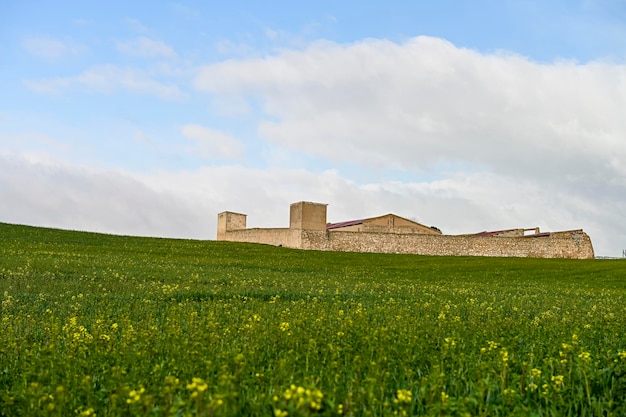 Landhaus inmitten grüner Getreidefelder in leicht hügeliger Landschaft