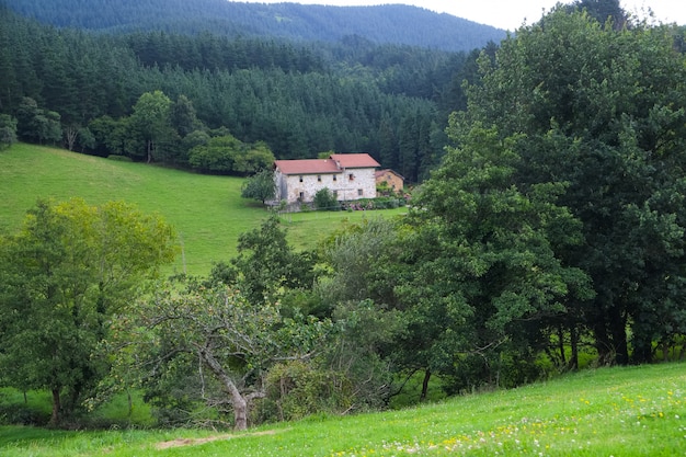 Landhaus, umgeben von Bäumen, baskisches Bauernhaus