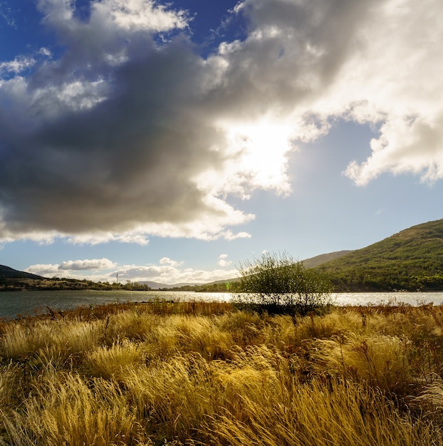 Landlandschaft mit hohen wilden Gräsern mit goldenen Tönen im Frühling, blauem Himmel mit dunklen Wolken und entspannender und schöner Atmosphäre. Spanien, Lozoya, Madrid.