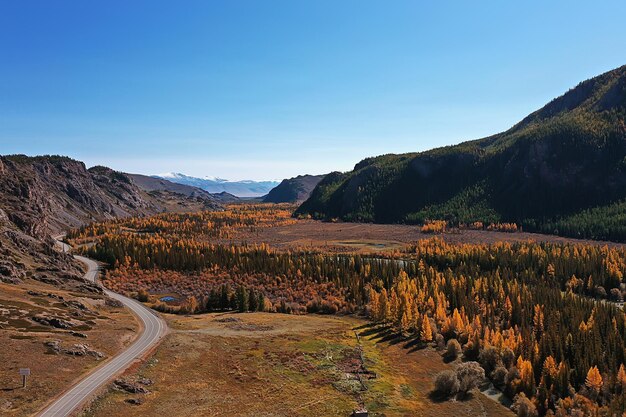 Landschaft Altai Russland, Herbst Draufsicht, Drohne über dem Wald