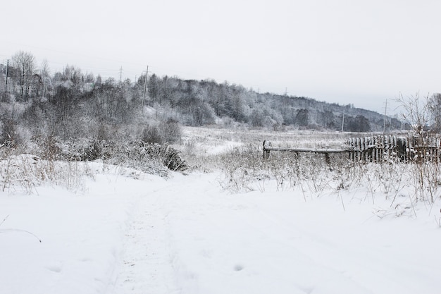 Landschaft am bewölkten Wintertag von schneebedeckten Feldern und Wäldern