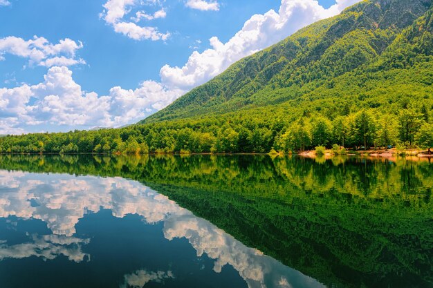 Landschaft am Bohinjer See in Slowenien. Natur in Slowenien. Blick auf grünen Wald und blaues Wasser. Schöne Landschaft im Sommer. Alpines Reiseziel. Berge der Julischen Alpen auf malerischem Hintergrund