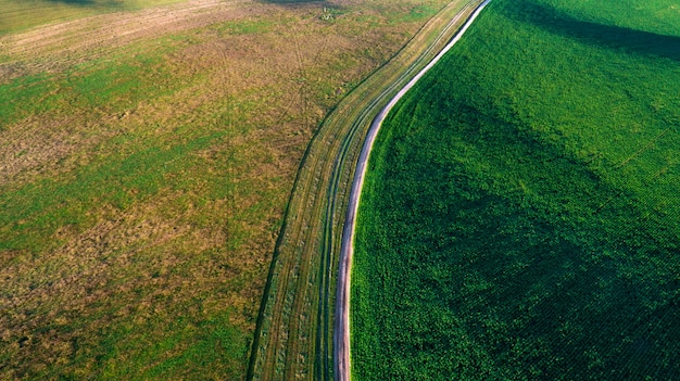 Landschaft auf einer grünen Wiese.