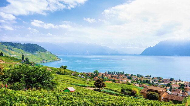 Foto landschaft auf lavaux weinbergterrassen wanderweg, genfer see und schweizer berge, lavaux-oron district, schweiz