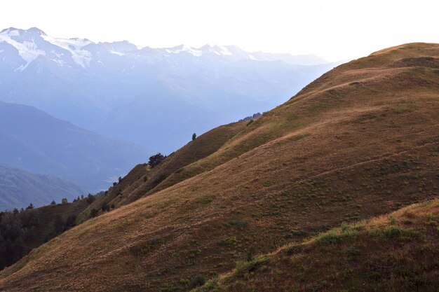 Landschaft aus grünem Gras und schneebedeckten Bergen