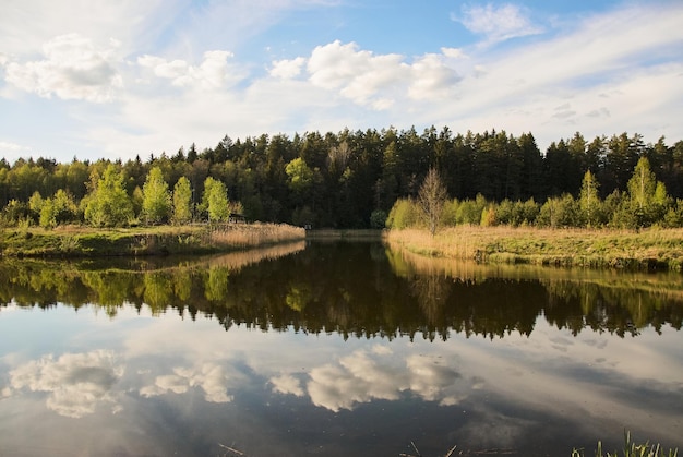 Landschaft aus Seen und Wäldern. der himmel spiegelt sich im wasser. die Wolken. Die Sonne