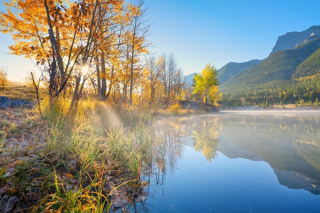 Foto landschaft bei sonnenaufgang bäume im herbst am flussufer sonnenlicht durch die bäume berge und wald lebendige farben im morgengrauen naturlandschaft banff nationalpark alberta kanada