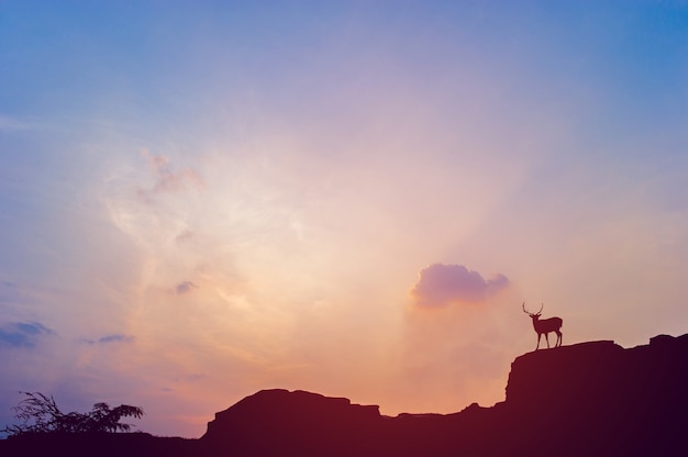 Landschaft bei Sonnenuntergang